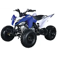 Квадроцикл ABM SCORPION 125M