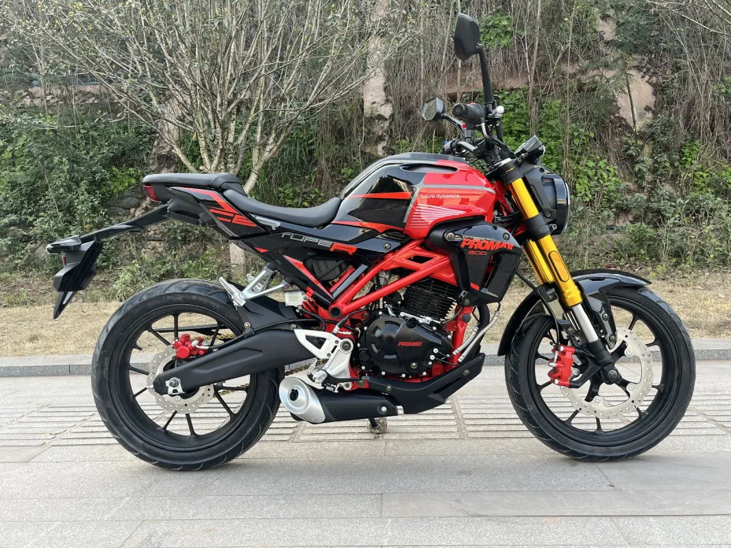 Мотоцикл PROMAX CB300